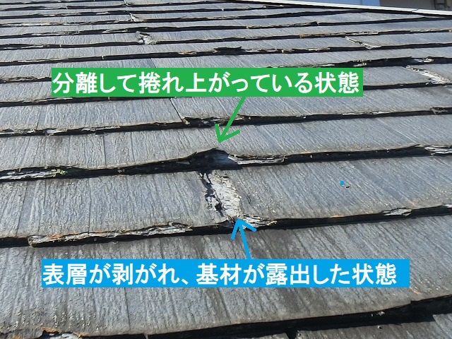 分離して剥離している状態のパミール