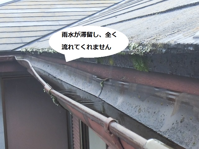 雨樋を上から覗くと雨水が滞留しているのが分かります