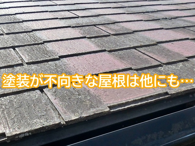ザルフグラッサを始め塗装が不向きな屋根には要注意