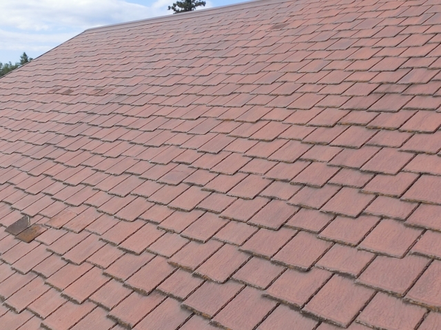 塗装ができない屋根ニューアーバニー