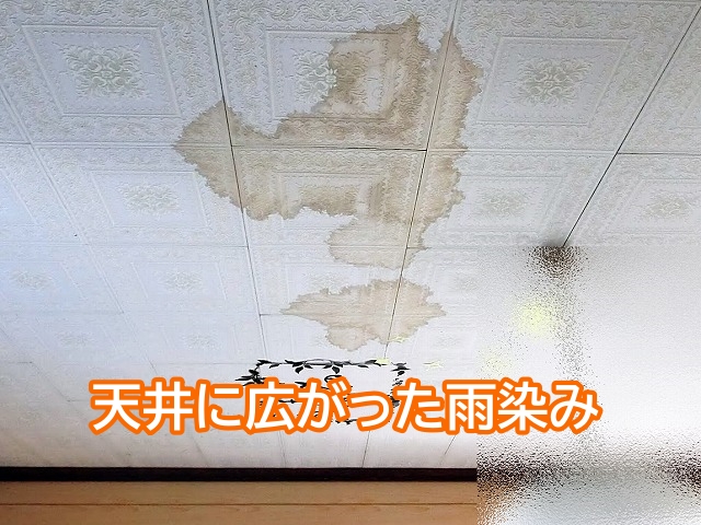 台風が過ぎた後に天井に広がった雨染み