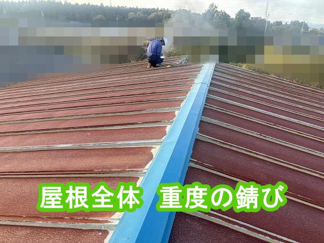 屋根全体が茶褐色にサビている