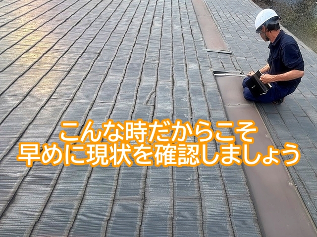 建材不足の今だからこそ早めに屋根の現状確認が必要