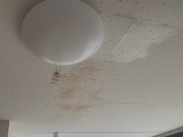 テナント物件の天井ボードに広がった茶色い雨染み