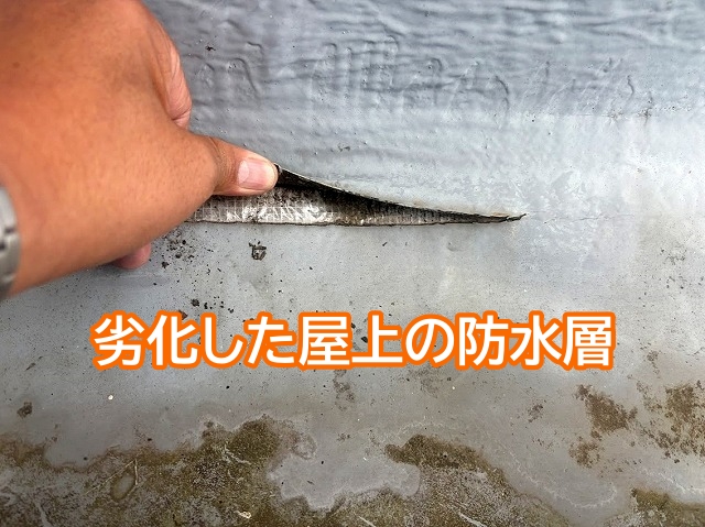 劣化して切れ目が入った屋上の防水層