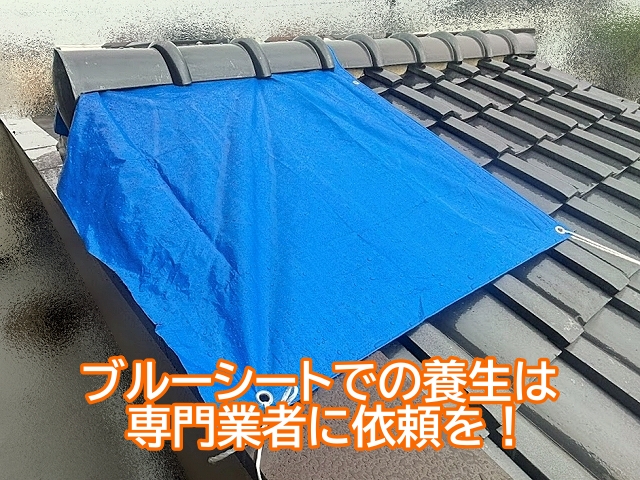 ブルーシートなどの屋根養生は専門業者に依頼する