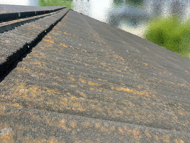 浮きやぐらつきなどは確認できなかった棟