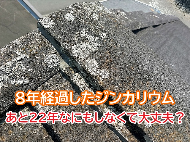 高耐久のジンカリウムに発生したカビや藻