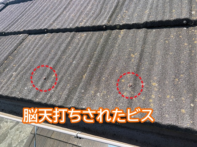 ビスを脳天打ちされたジンカリウム屋根