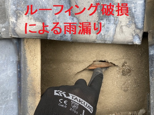 瓦屋根を捲り上げるとルーフィング破損があり雨漏りの発生箇所であると特定
