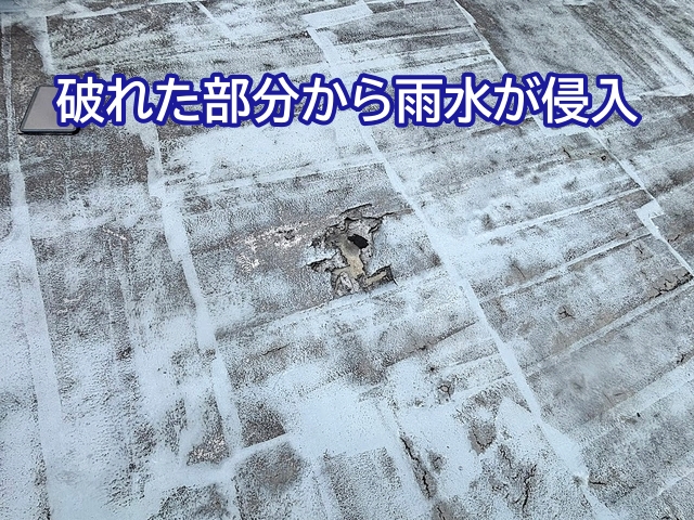 シート防水の破れた部分から雨水が侵入