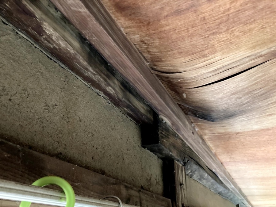 天井に広がった雨漏り跡