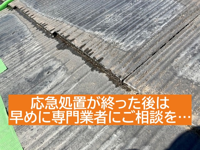 雨漏りの応急処置が終わった後は早めに専門業者にご相談を