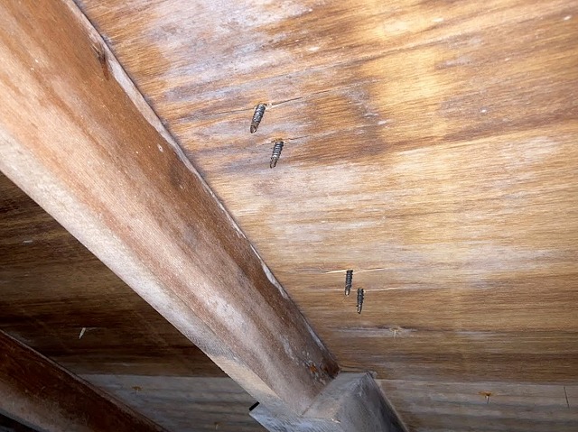 太陽光パネルを載せた箇所の雨漏り