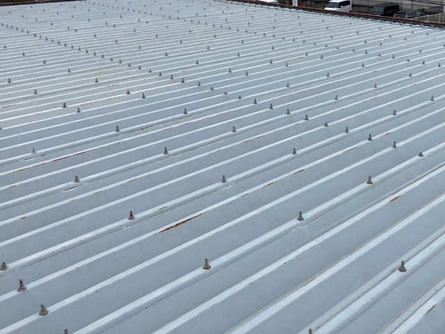 結城市内の賃貸アパートの折板屋根