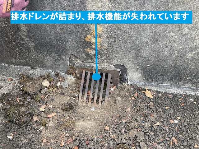 屋上の排水ドレン詰まり