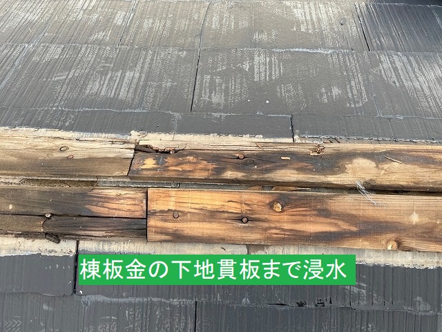 棟板金の下地貫板に浸水していた跡