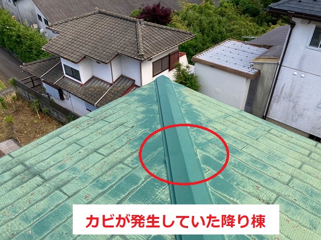 カビが発生している箇所は何もなっておりません