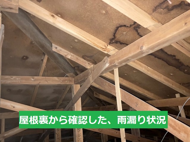 屋根裏から確認した野地板への漏水状況