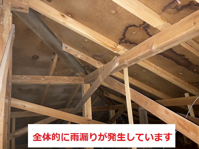 スレート屋根は全体的に雨漏りが起こっています