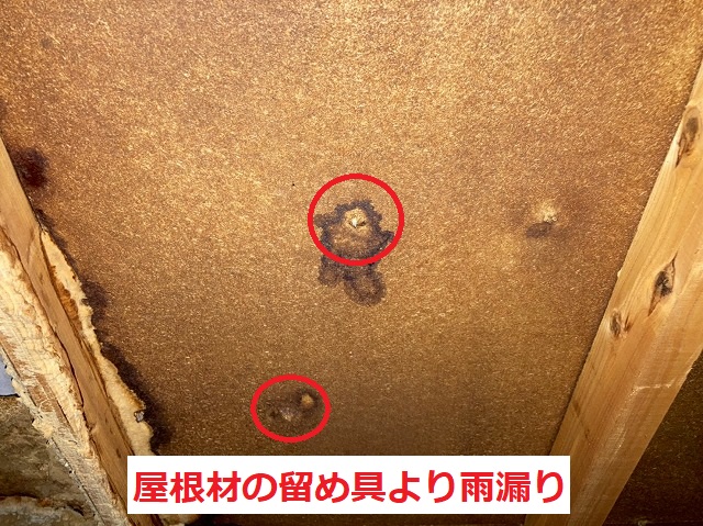 屋根材の留め具より雨漏り