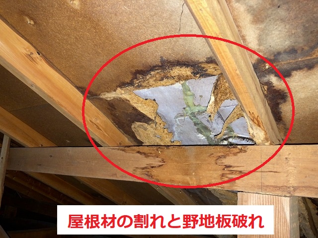 屋根の亀裂から雨漏りが発生しています