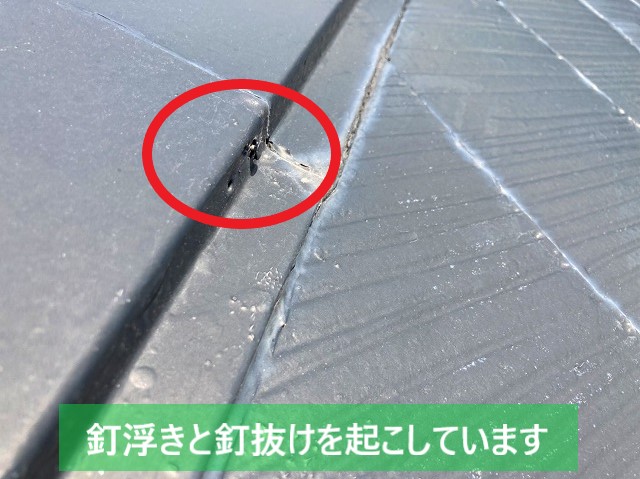 鹿嶋市で発生した棟板金の釘抜けと釘浮き
