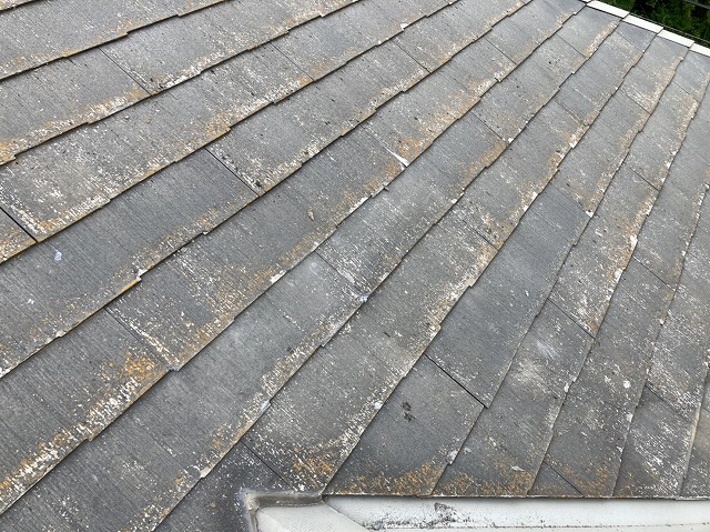 緊急応急処理が完了した屋根