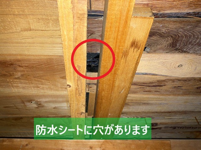 那珂市の雨漏り調査は増築部の屋根の防水シートに穴がありました