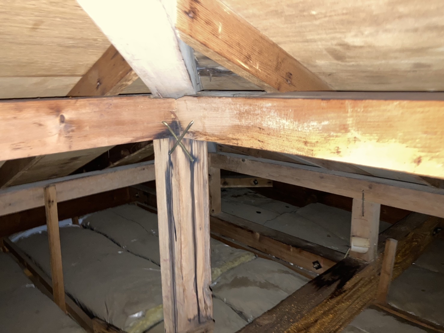 雨漏り跡が残る天井裏