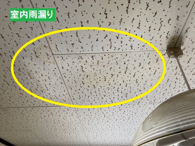 洋室天井である石膏ボードにできた雨染み