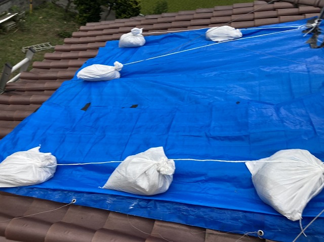 雨漏り応急処置として、屋根にブルーシートを設置