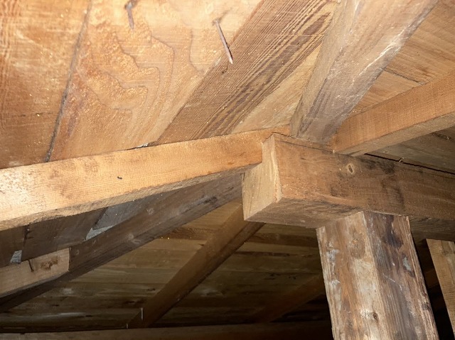 天井裏を確認すると様々な事が分かる