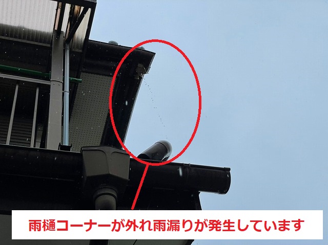 雨樋コーナーからの雨水漏れを起こしている笠間の現場