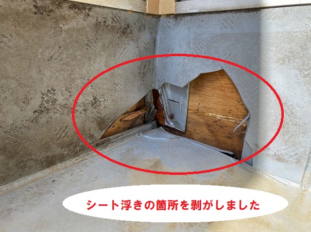 シート浮きの箇所を補修のために剥がしました