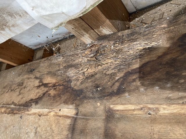 雨漏りしていた上部のベランダ床の下地