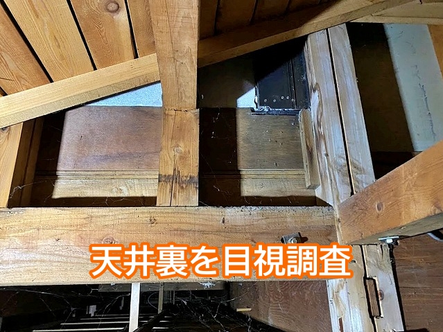 雨水が流れそうな経路を想定して行う目視調査