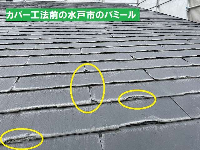 全体的に表層が剥離している水戸市内のパミール