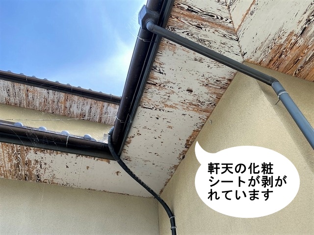 軒天化粧シートが広範囲に剥がれる