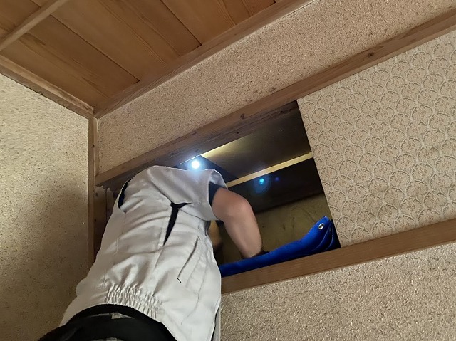 天袋から屋根裏天井への雨漏りを確認する調査スタッフ