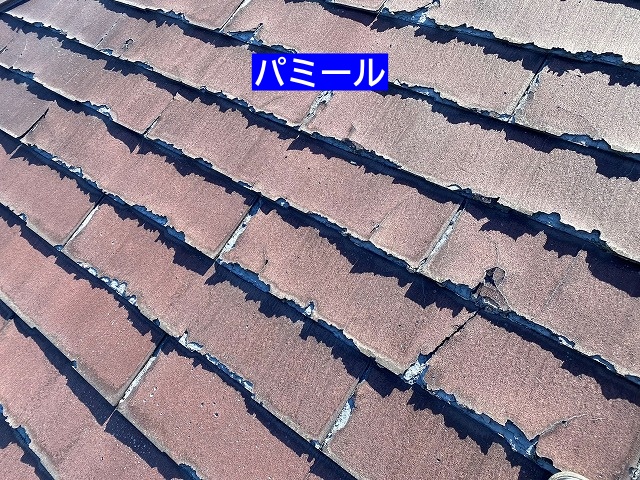 パミールは先端部分が剥離しやすい