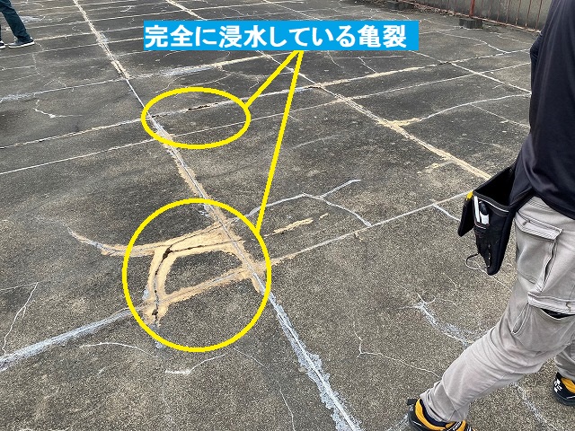屋上にある大きな亀裂はが浸水の原因箇所