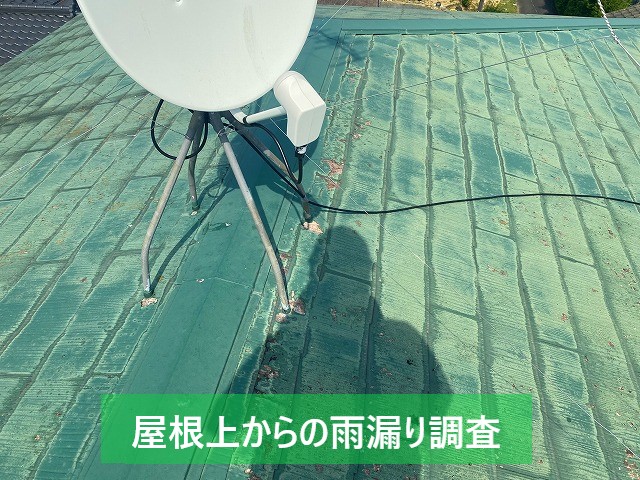 屋根上からの雨漏り調査