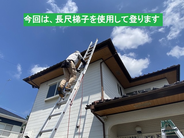 長尺梯子を使用して屋根に登るスタッフ