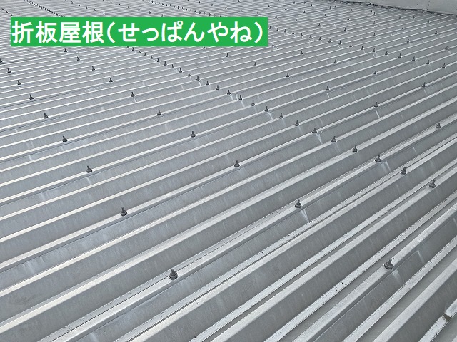 シルバーの折板屋根