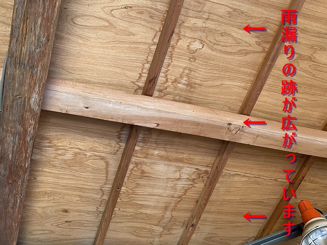 野地板が天井材の雨漏り