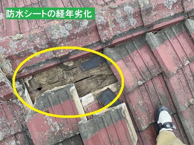 セメント瓦を捲り、防水シートの経年劣化破損を確認