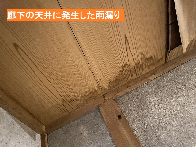 廊下の天井に発生した雨漏り