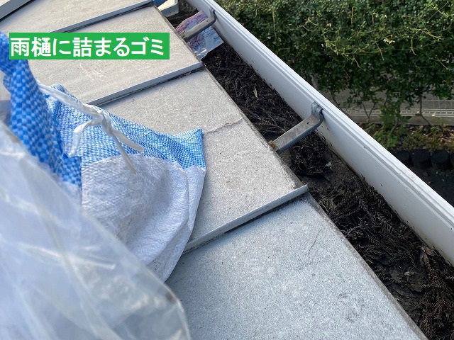 大型雨樋に沢山のゴミが溜まっている