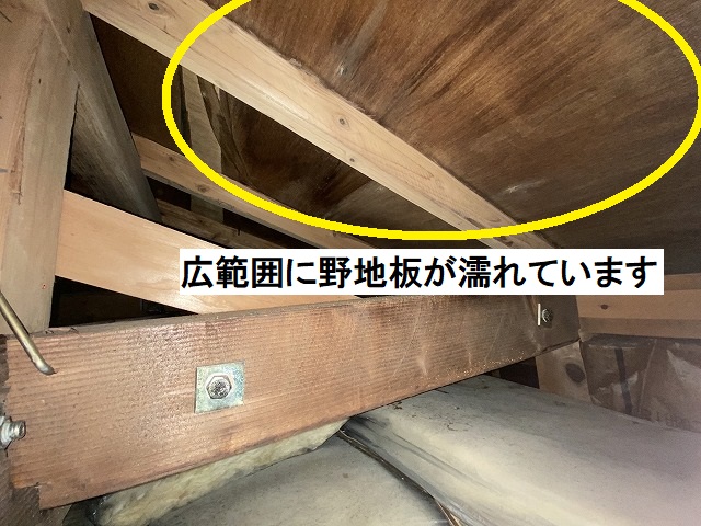 屋根材の下地である野地板が広範囲に濡れている